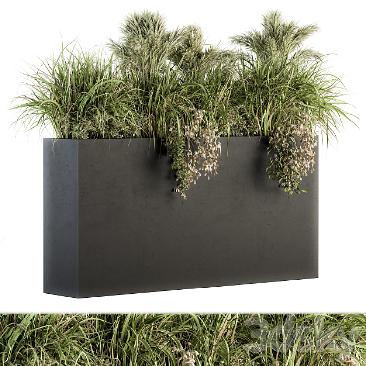 Outdoor Plants tree in Plant box – Set 124 3DS Max - thumbnail 1