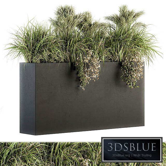 Outdoor Plants tree in Plant box – Set 124 3DS Max - thumbnail 3