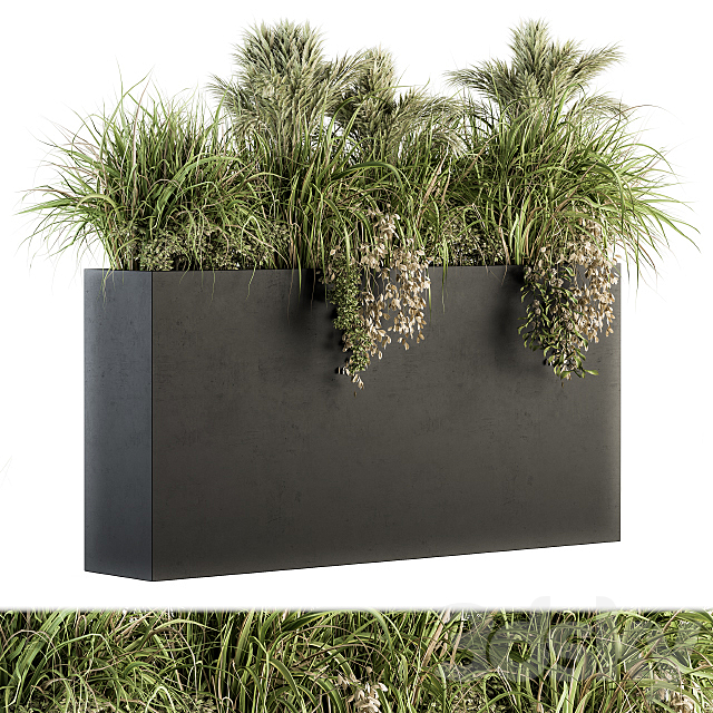 Outdoor Plants tree in Plant box – Set 124 3DSMax File - thumbnail 1