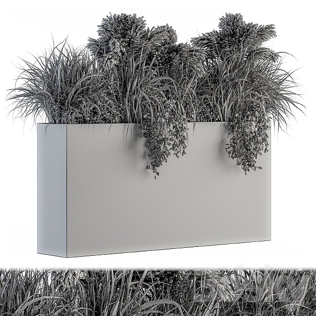 Outdoor Plants tree in Plant box – Set 124 3DSMax File - thumbnail 4