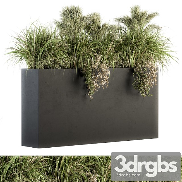 Outdoor plants tree in plant box – set 124 - thumbnail 1