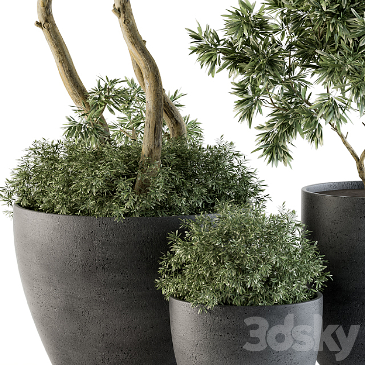 Outdoor Plants Tree in pot – Set 90 3DS Max - thumbnail 2