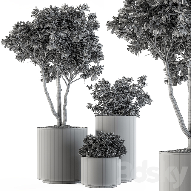 Outdoor Plants Tree in pot – Set 94 3DSMax File - thumbnail 4