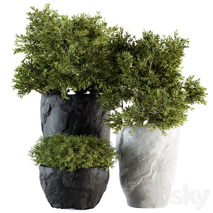 Outdoor Plants tree in Rock Pot – Set 136 3DS Max - thumbnail 1