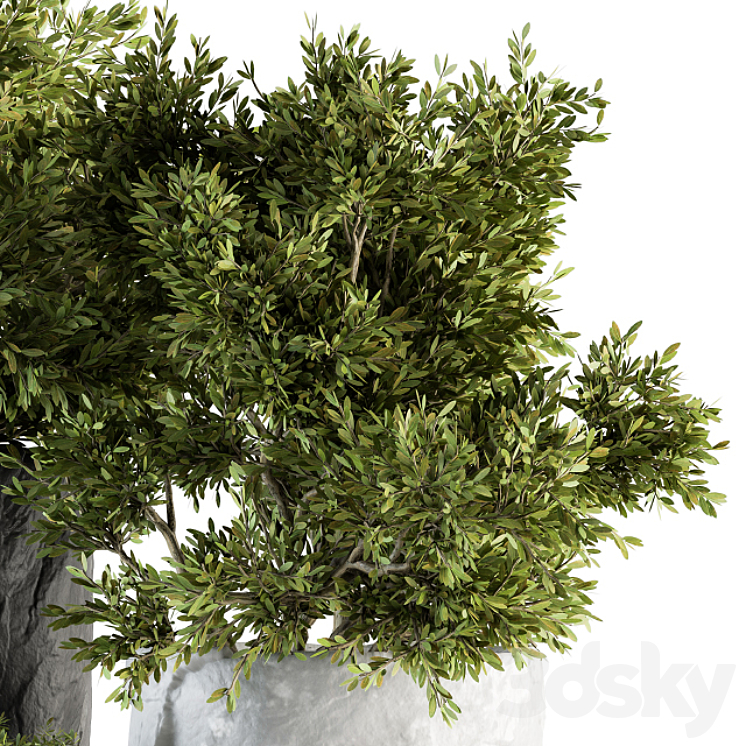 Outdoor Plants tree in Rock Pot – Set 136 3DS Max - thumbnail 2