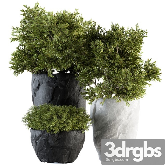 Outdoor Plants Tree in Rock Pot Set 136 3dsmax Download - thumbnail 1