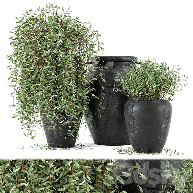 Outdoor Plants tree in rusty Concrete Pot – Set 2 3DSMax File - thumbnail 1