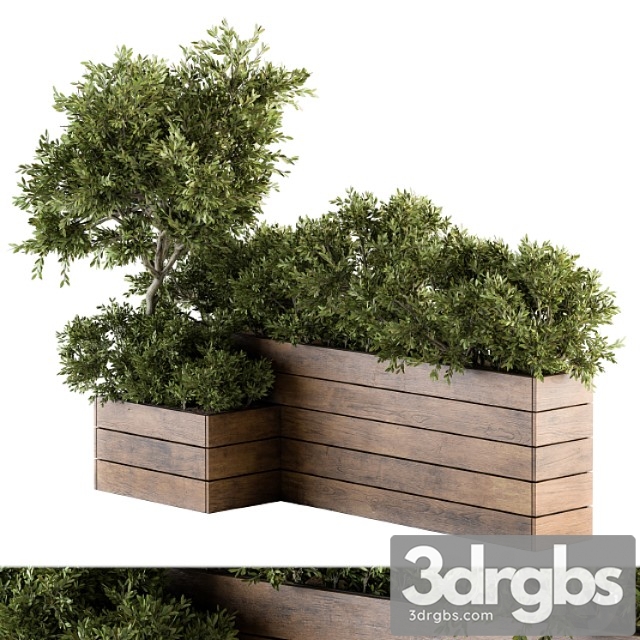 Outdoor Plants Tree in Wood Box Set 154 3dsmax Download - thumbnail 1