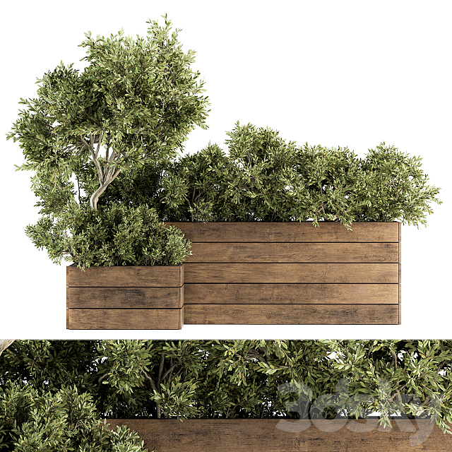 Outdoor Plants tree in Wood Box – Set 154 3DSMax File - thumbnail 2