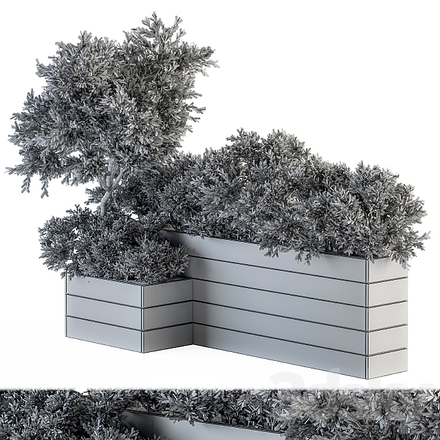 Outdoor Plants tree in Wood Box – Set 154 3DSMax File - thumbnail 5