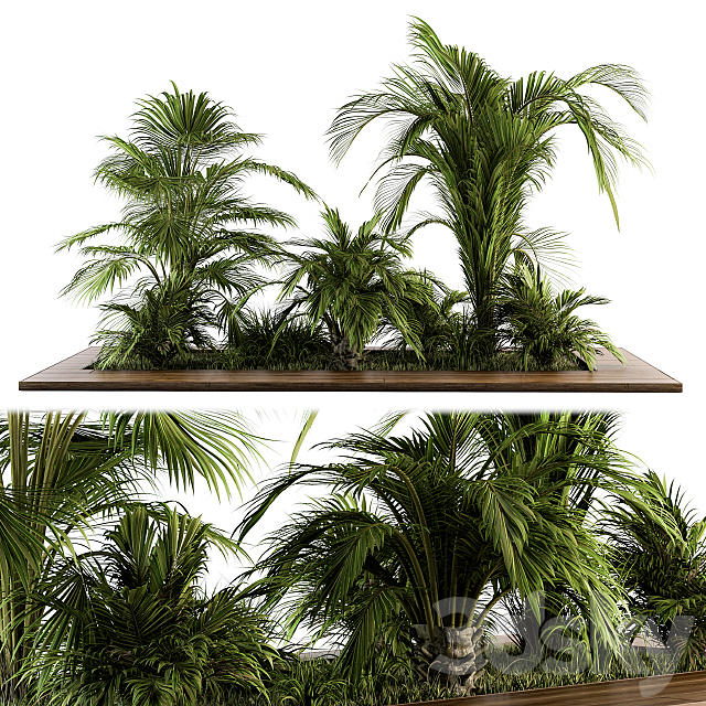 Outdoor Plants tree Tropical Garden – Set 143 3ds Max - thumbnail 1