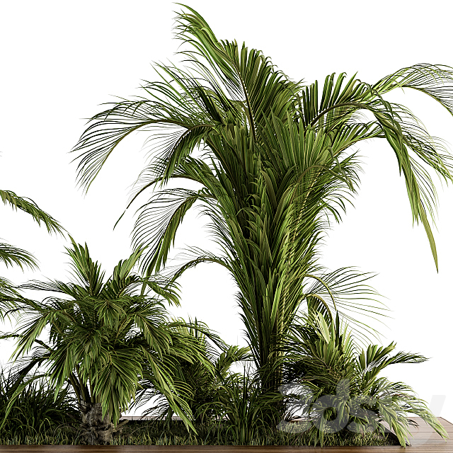 Outdoor Plants tree Tropical Garden – Set 143 3ds Max - thumbnail 2