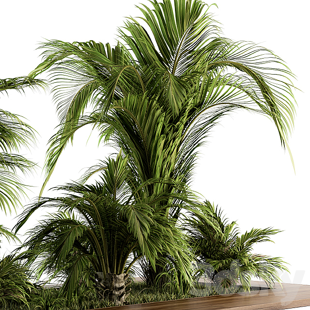 Outdoor Plants tree Tropical Garden – Set 143 3ds Max - thumbnail 3