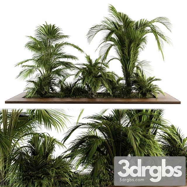 Outdoor plants tree tropical garden – set 143 - thumbnail 1