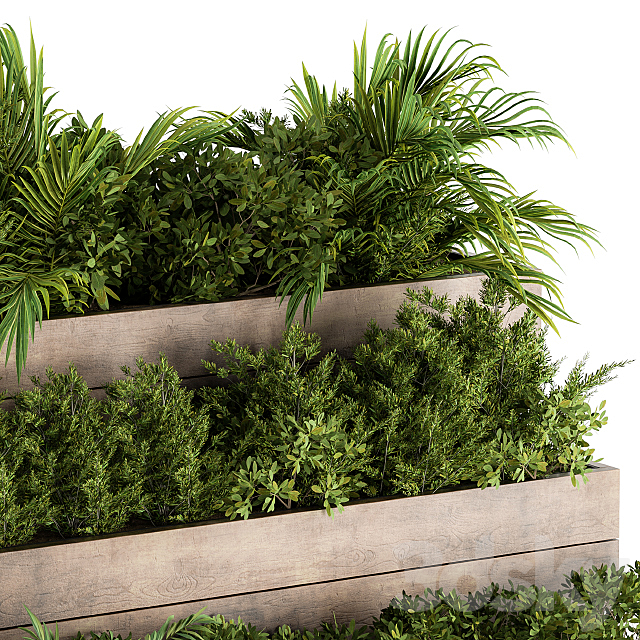 Outdoor Plants Wooden Plant Box – Set 153 3ds Max - thumbnail 3