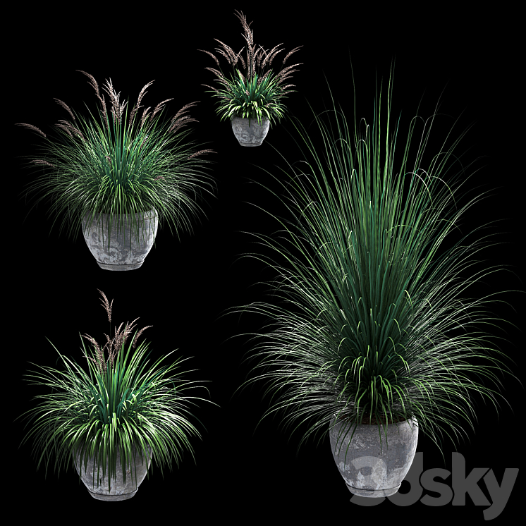 Outdoor potted plants. 4 models 3DS Max - thumbnail 1