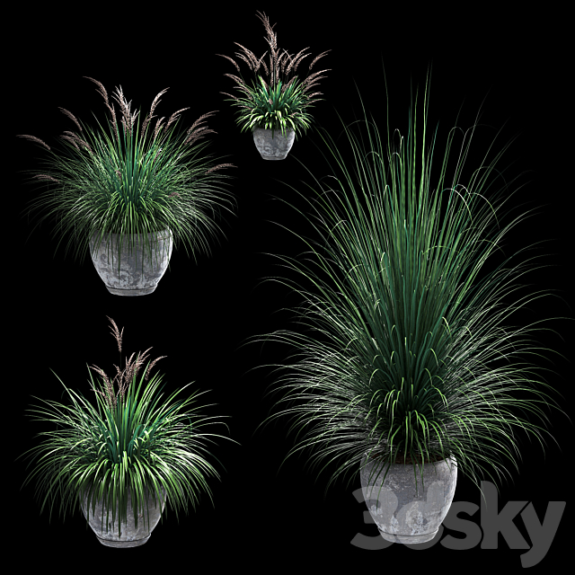 Outdoor potted plants. 4 models 3DSMax File - thumbnail 1