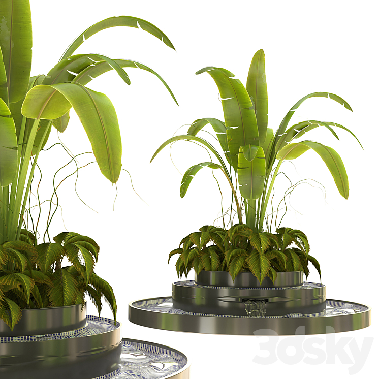 Outdoor_Plant_Vol_07 3DS Max - thumbnail 1