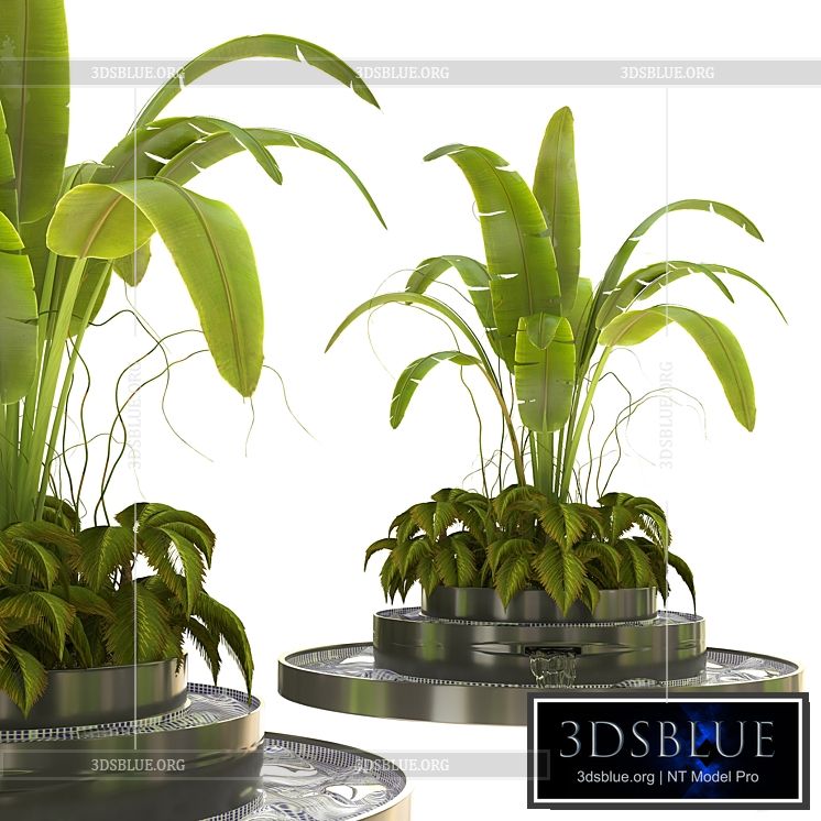 Outdoor_Plant_Vol_07 3DS Max - thumbnail 3