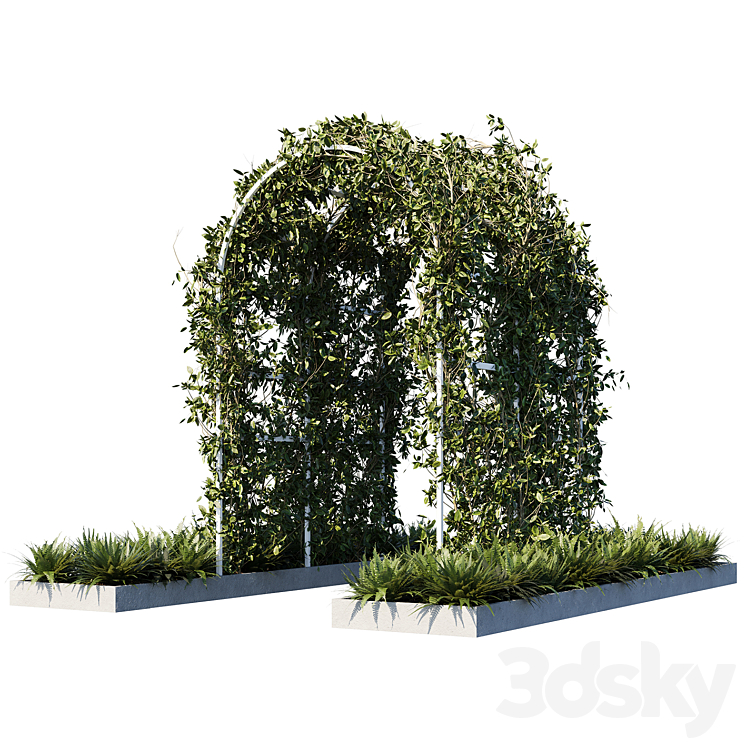 Outdoor_plants01 3DS Max - thumbnail 1