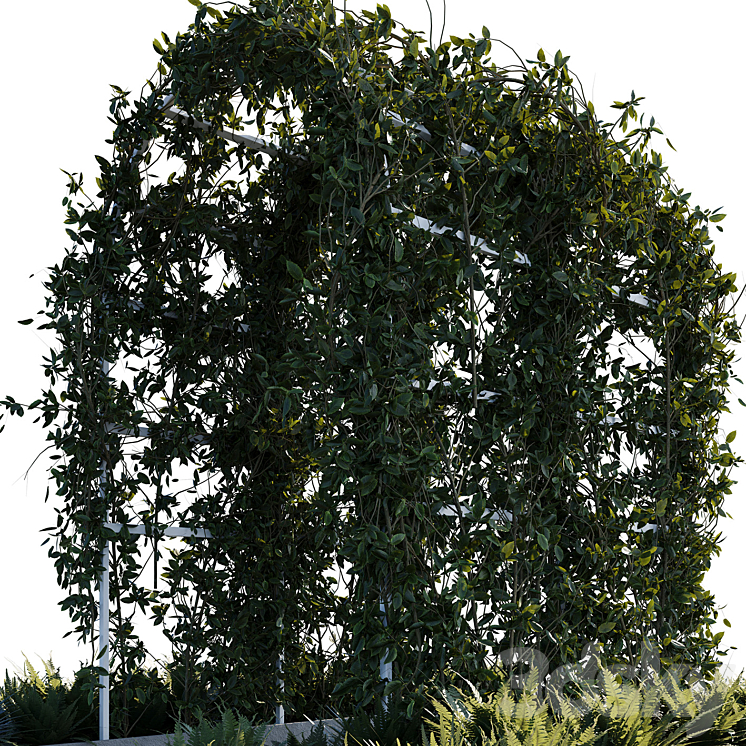 Outdoor_plants01 3DS Max - thumbnail 2