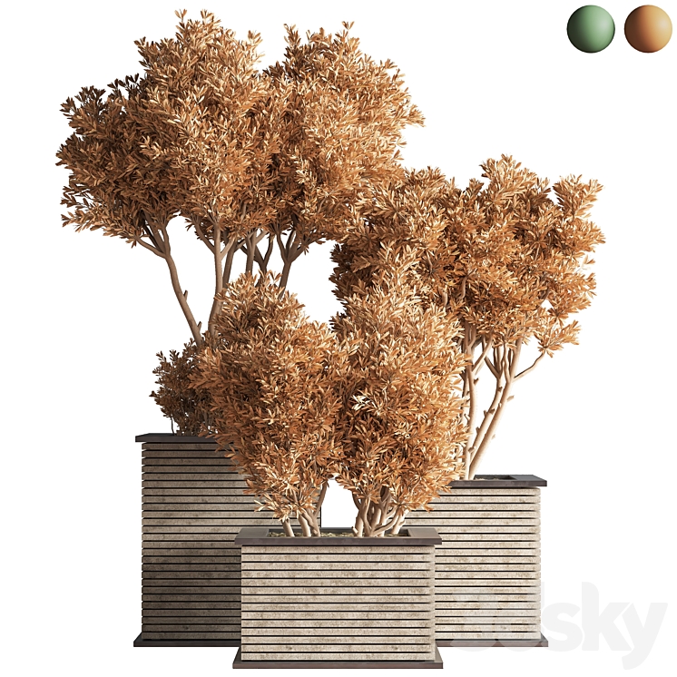 Outdoor_Plants_tree_22 3DS Max Model - thumbnail 2