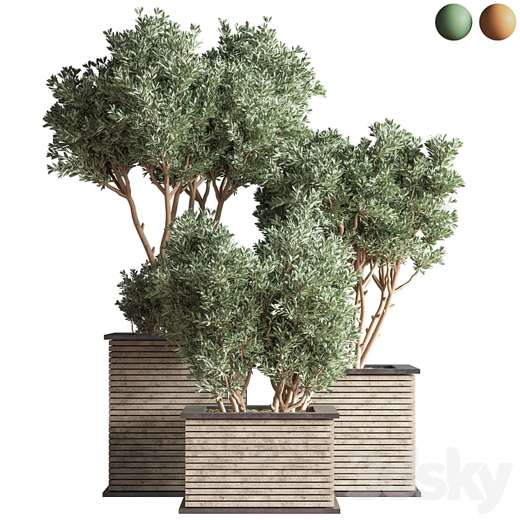 Outdoor_Plants_tree_22 3DS Max - thumbnail 1