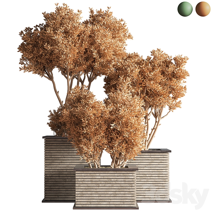 Outdoor_Plants_tree_22 3DS Max - thumbnail 2