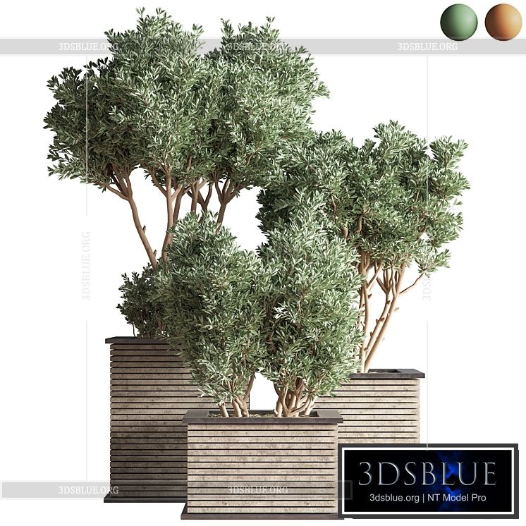 Outdoor_Plants_tree_22 3DS Max - thumbnail 3