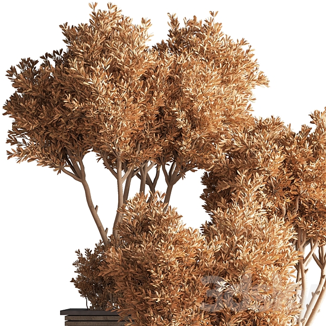 Outdoor_Plants_tree_22 3DS Max Model - thumbnail 3