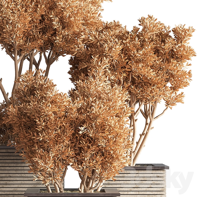 Outdoor_Plants_tree_22 3DS Max Model - thumbnail 5