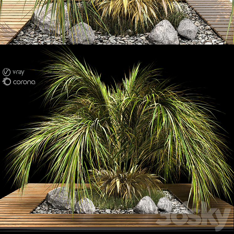 palm tree 3DS Max Model - thumbnail 3