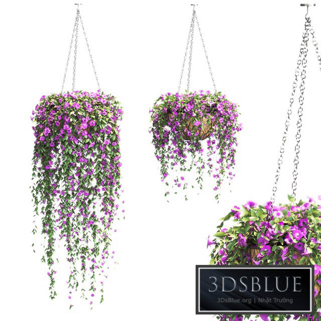 Petunia in hanging pots. 2 models 3DS Max - thumbnail 3