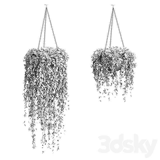 Petunia in hanging pots. 2 models 3DSMax File - thumbnail 2