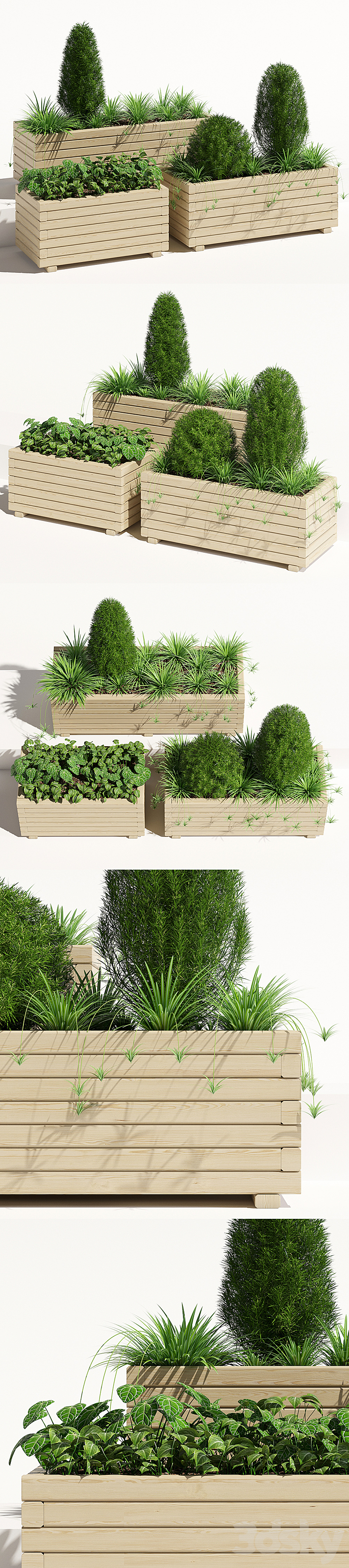 Pine planter 2 3DS Max - thumbnail 2