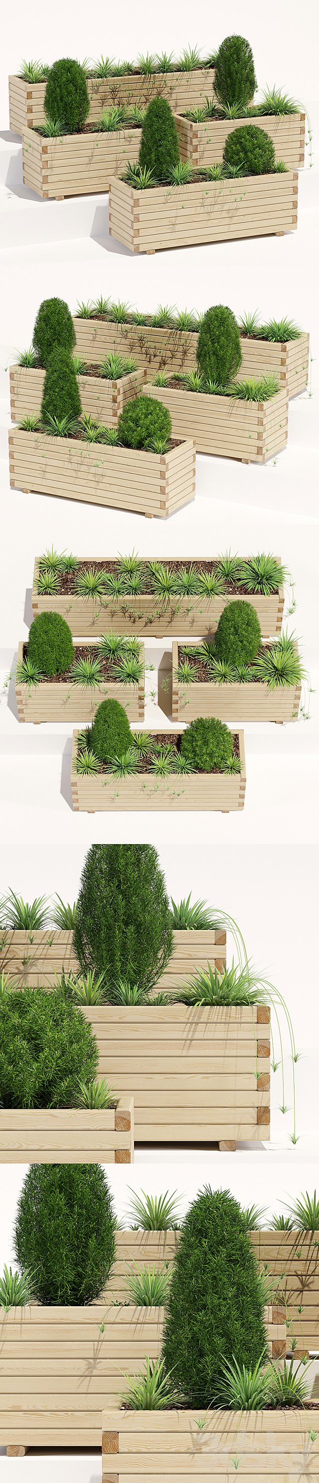 Pine planter 3DSMax File - thumbnail 2