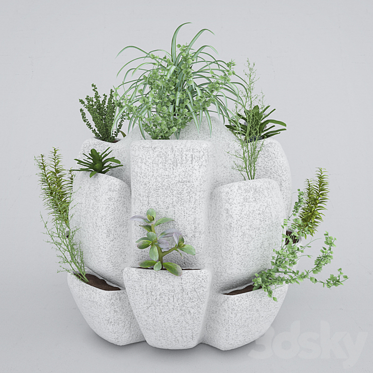 Plant 3 3DS Max - thumbnail 2