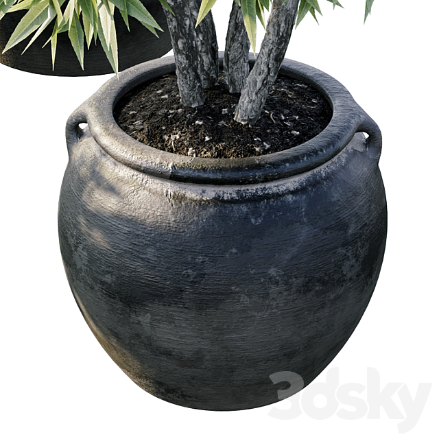 Plant 3 3DSMax File - thumbnail 4