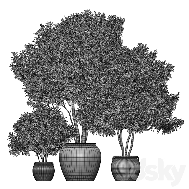 Plant 3 3DSMax File - thumbnail 5