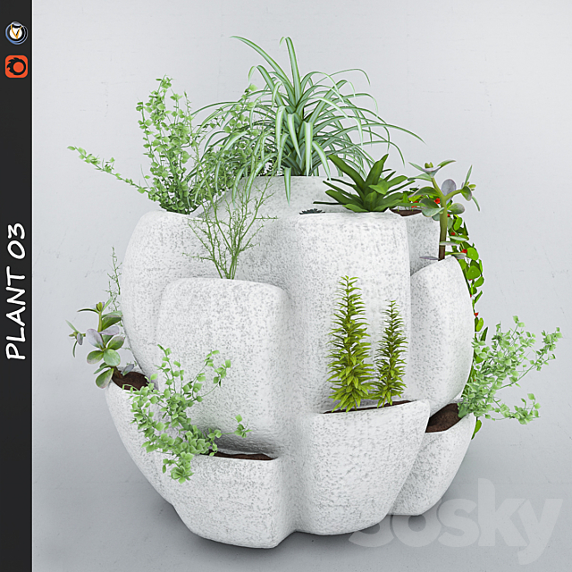 Plant 3 3DSMax File - thumbnail 1