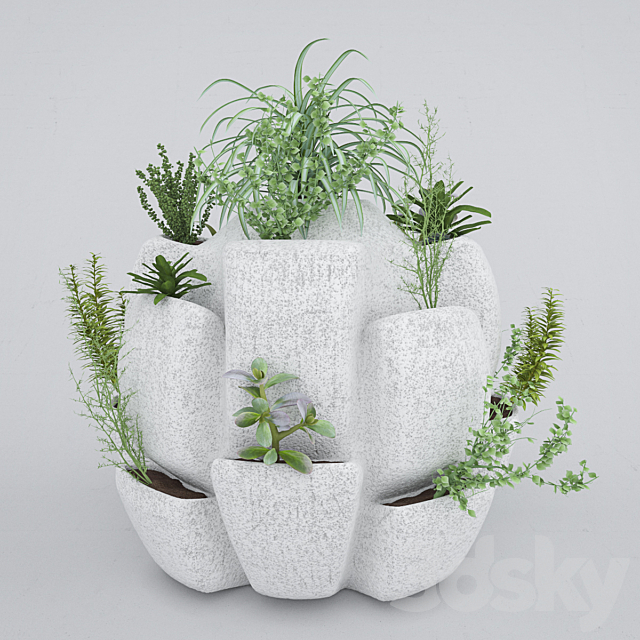 Plant 3 3DSMax File - thumbnail 2