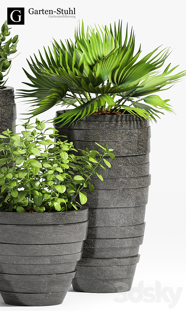 PLANT -31 3DSMax File - thumbnail 2