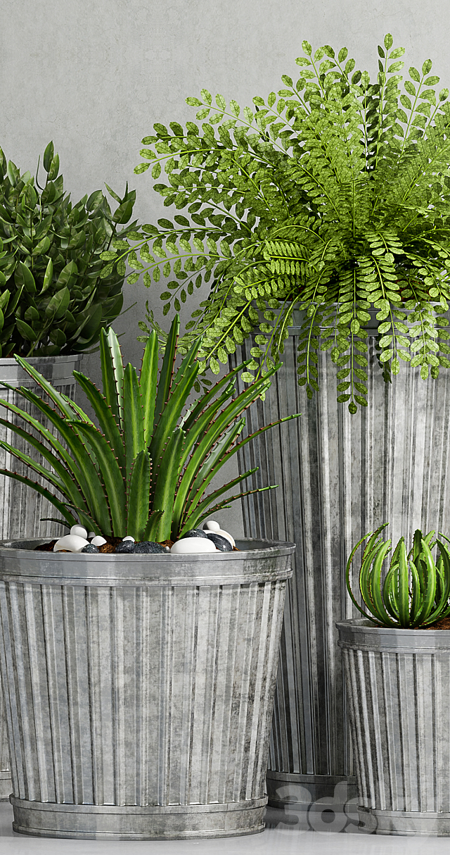 PLANT-49 3ds Max - thumbnail 3