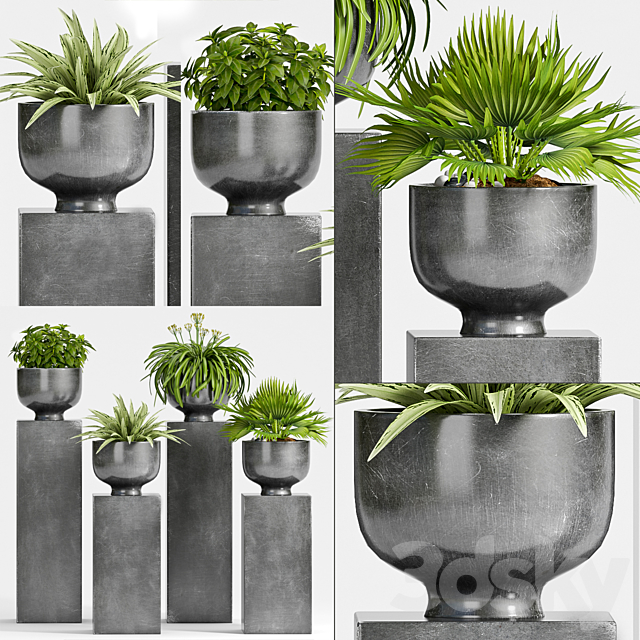 PLANT -54 3DSMax File - thumbnail 1