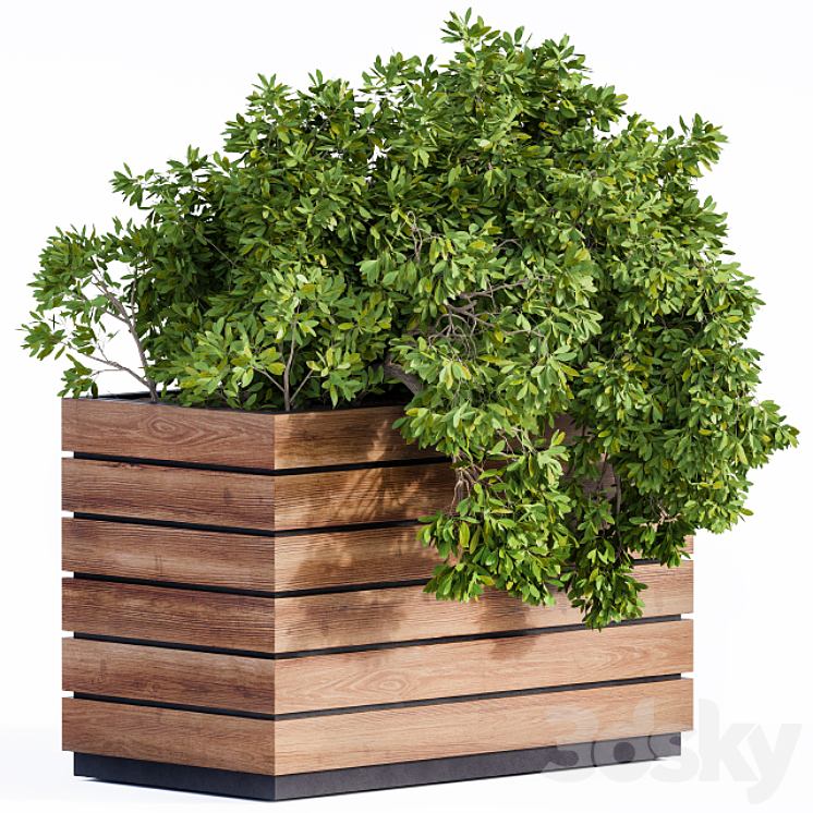 Plant Box Green & Wood 3DS Max - thumbnail 1