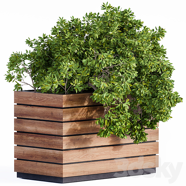 Plant Box Green & Wood 3DSMax File - thumbnail 1