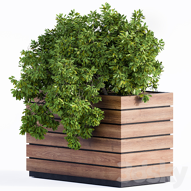 Plant Box Green & Wood 3DSMax File - thumbnail 2