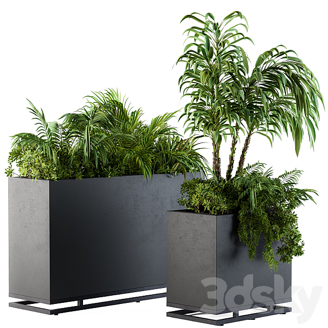 Plant box metal compact04 3DSMax File - thumbnail 2