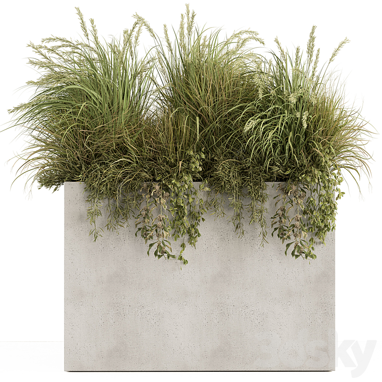 Plant Box – Outdoor Plants 480 3DS Max Model - thumbnail 1