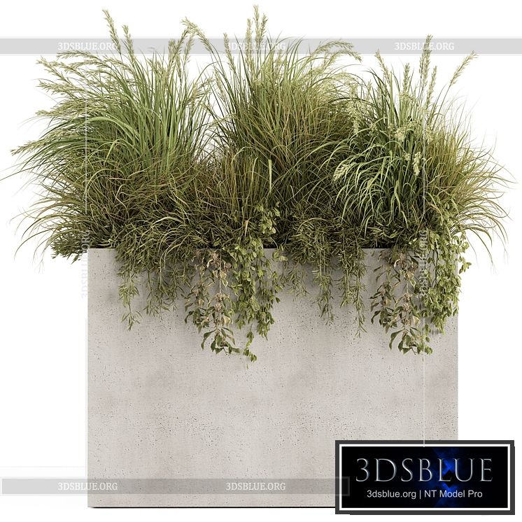 Plant Box – Outdoor Plants 480 3DS Max - thumbnail 3